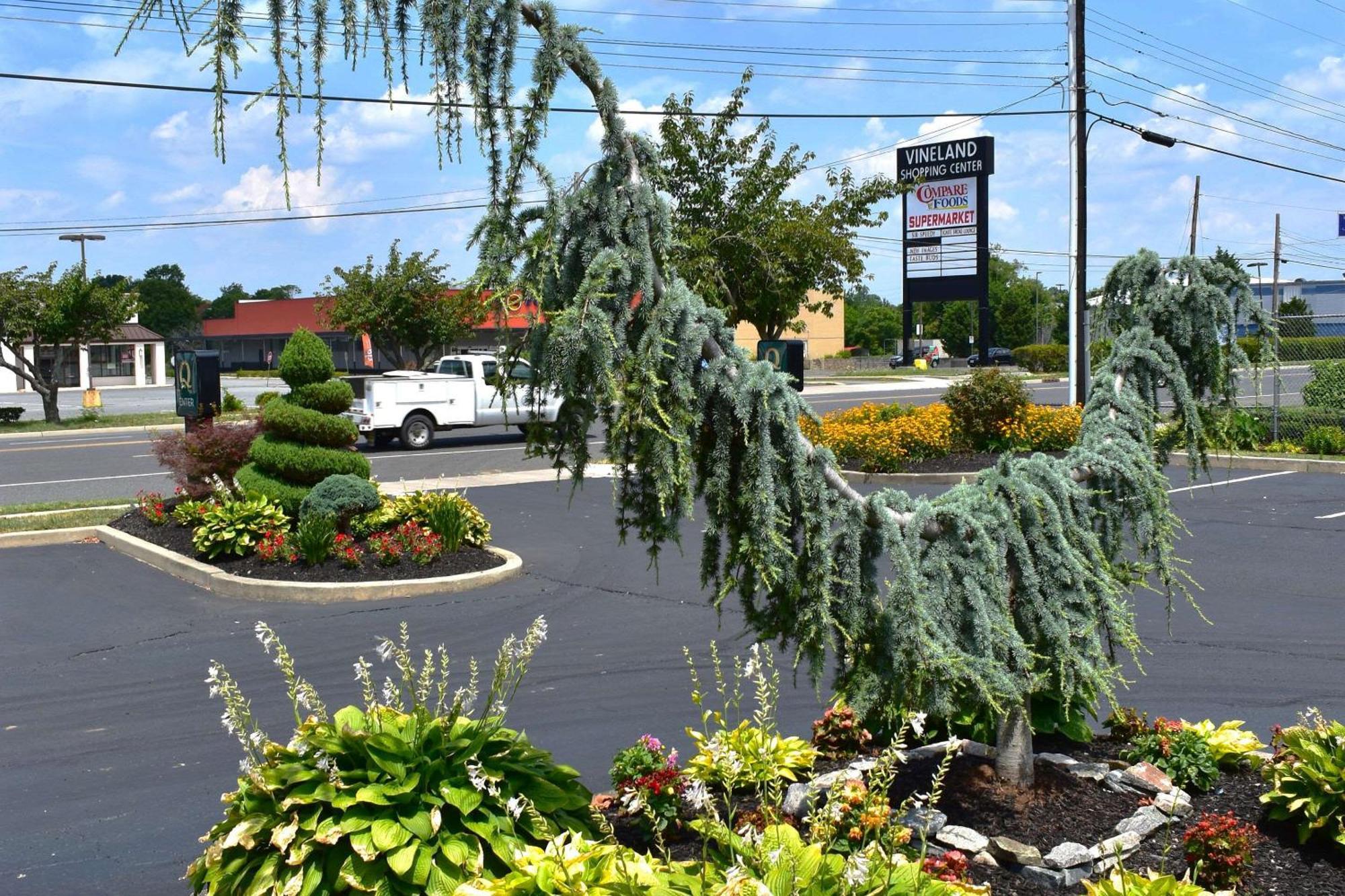 Quality Inn Vineland Dış mekan fotoğraf